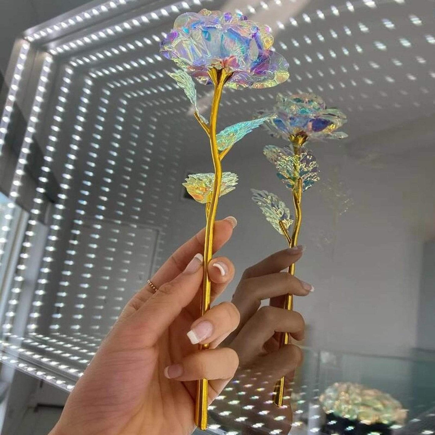 10 Stück Galaxy Rosen Karnz