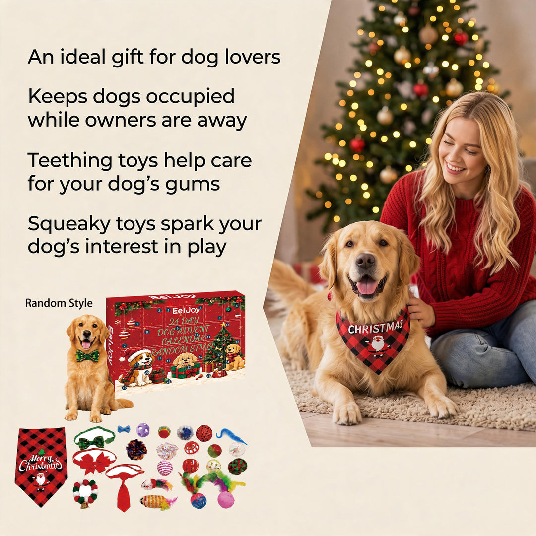 Adventskalender für Hunde