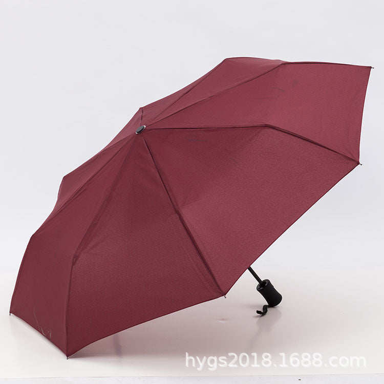 Damen Automatischer Regenschirm Karnz