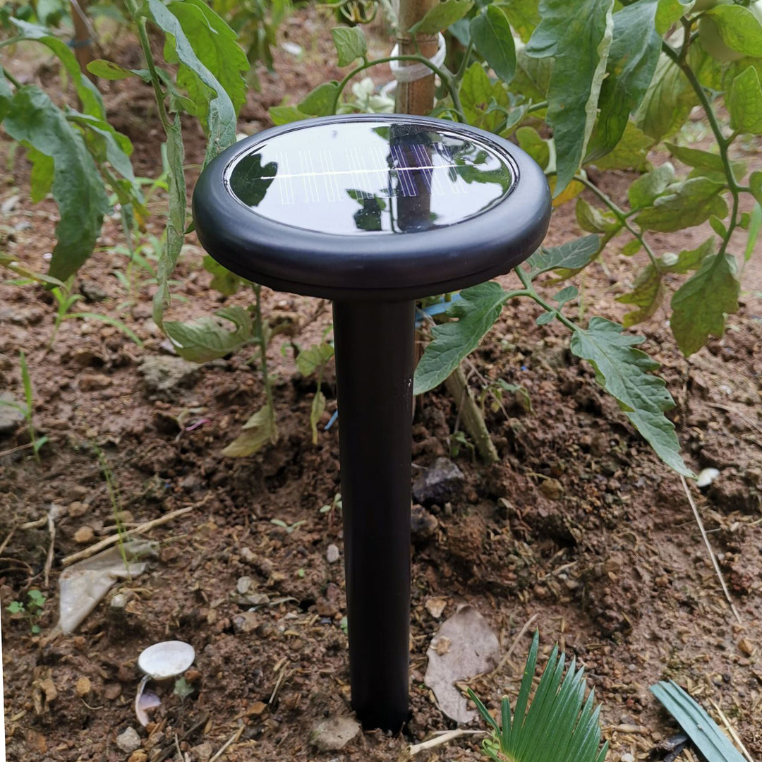 Solarbetriebene LED Landschaftsbeleuchtung