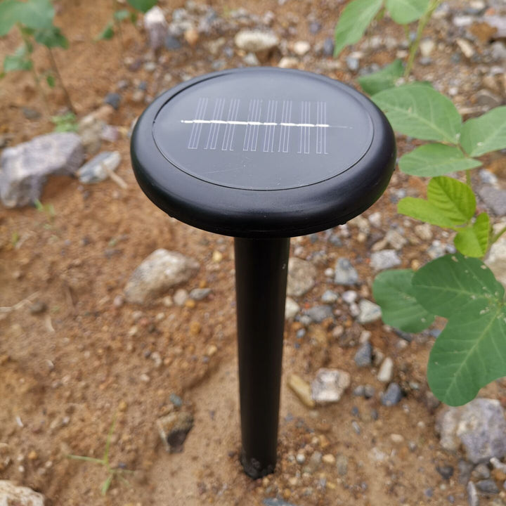 Solarbetriebene LED Landschaftsbeleuchtung