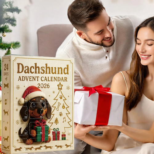 Dekorative Tier-Adventskalender-Box, Kunststoff