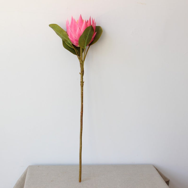 Lebensnahe Dekorative Protea Blumenstängel