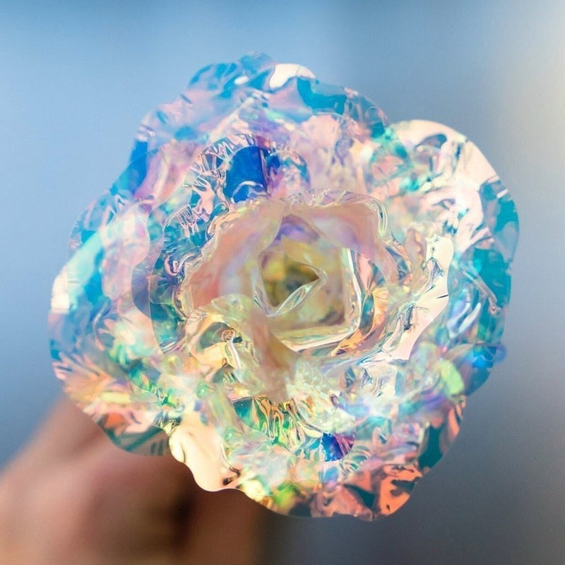 Glänzende schlafende Rose Valentinstag