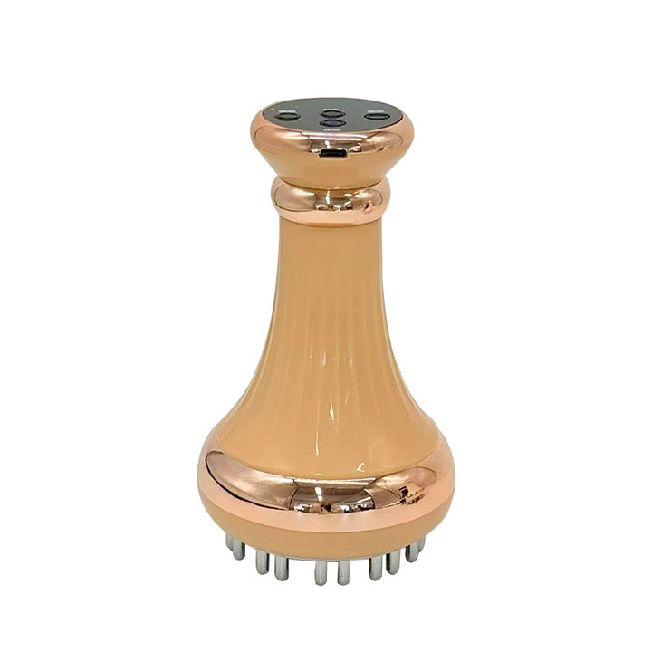 Elektrische Meridian-Massagebürste XN-0030