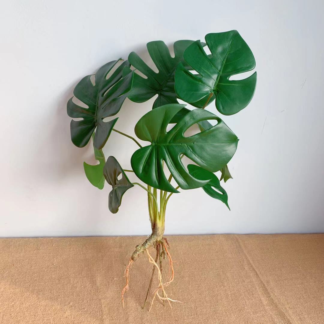 Lebensechte Monstera Pflanzenanordnung