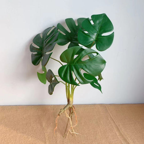 Lebensechte Monstera Pflanzenanordnung