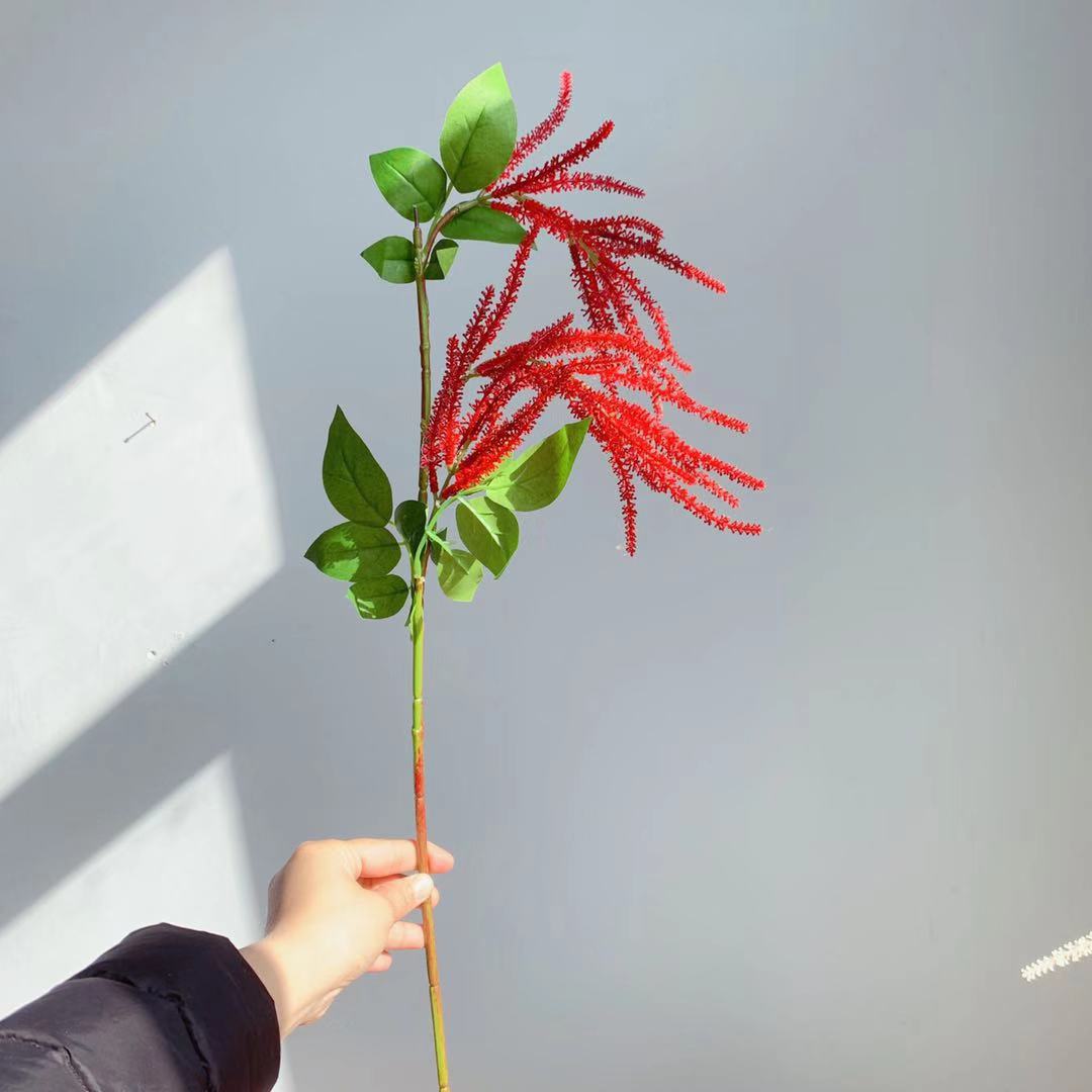 Dekorativer botanischer Stängel