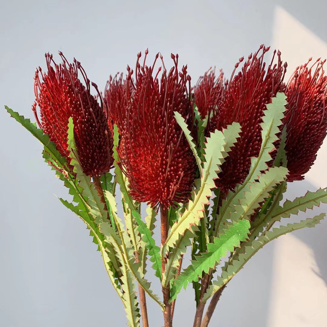 Lebensechte einheimische australische Blumenstängel