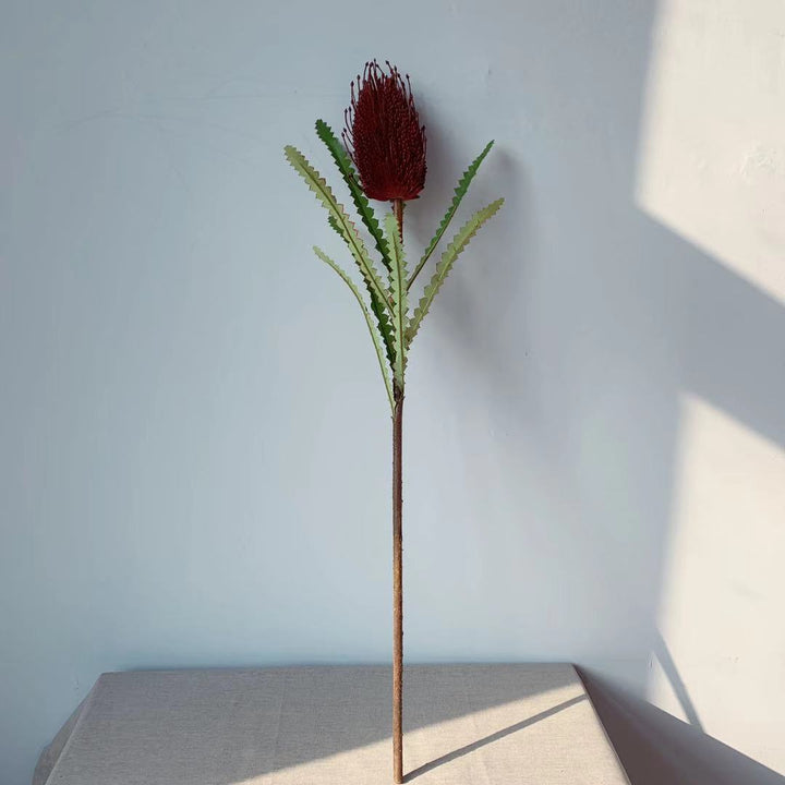 Lebensechte einheimische australische Blumenstängel