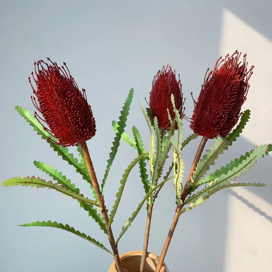 Lebensechte einheimische australische Blumenstängel