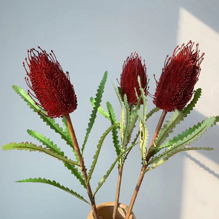 Lebensechte einheimische australische Blumenstängel
