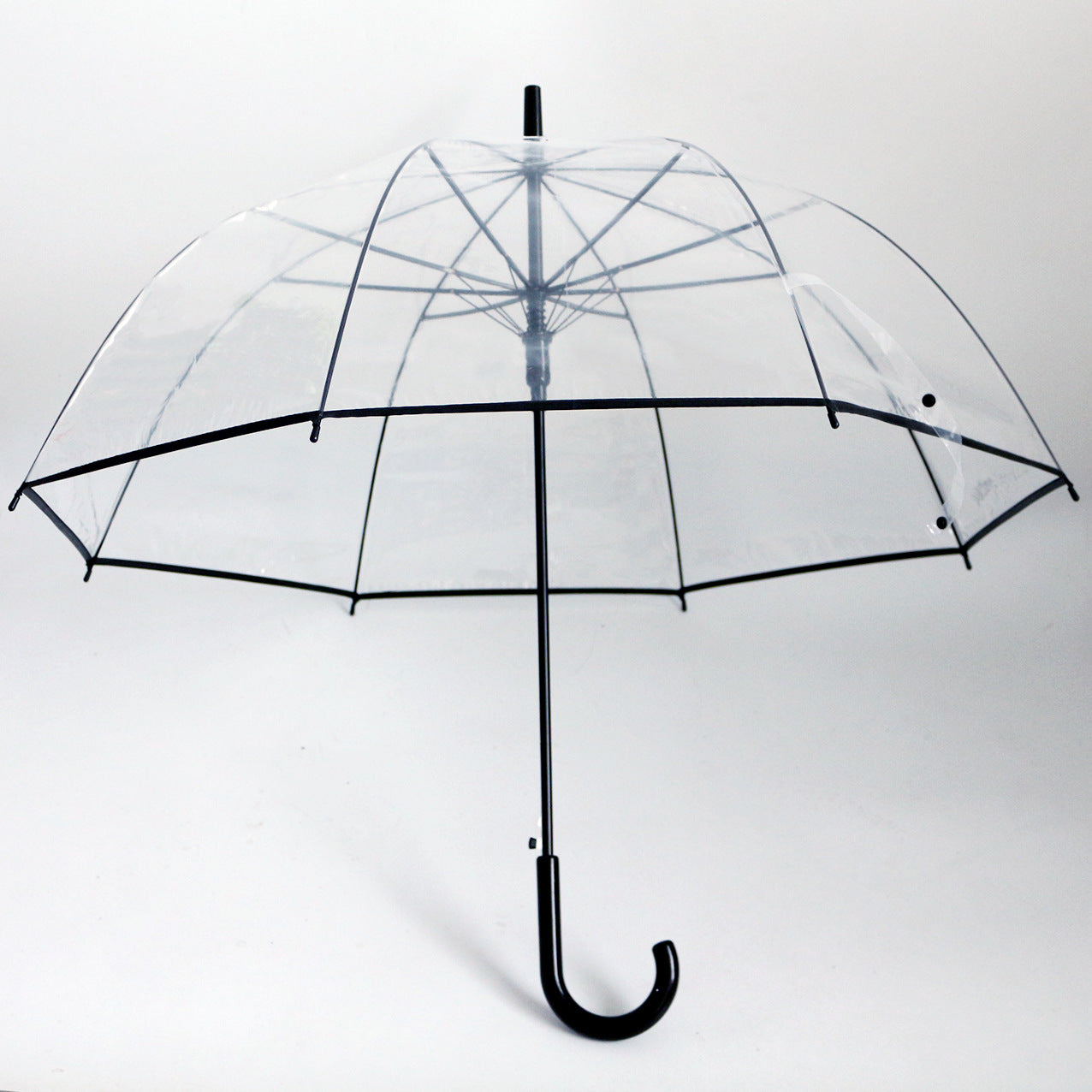 Damen transparenter Regenbogen Karnz