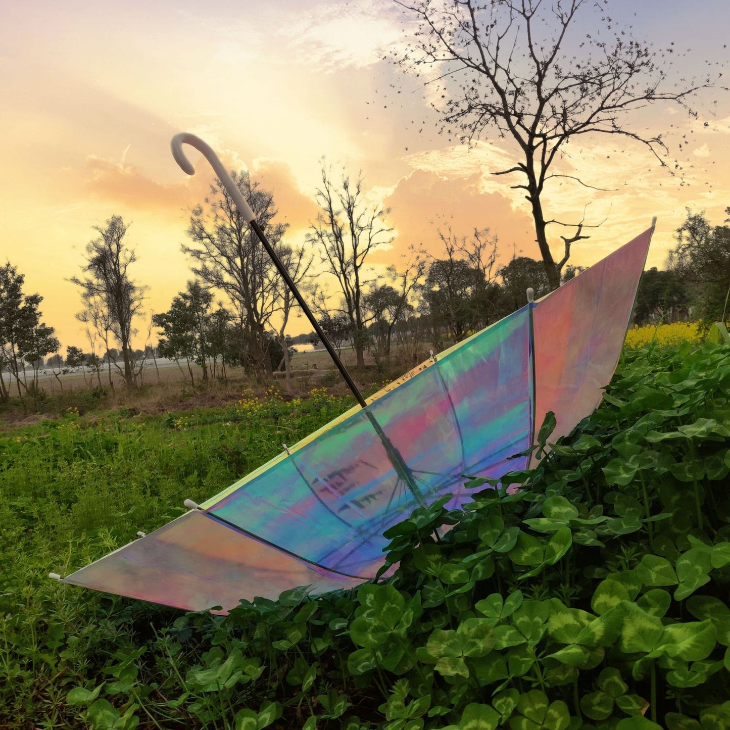 Damen Regenbogenfarbener Regenschirm Karnz