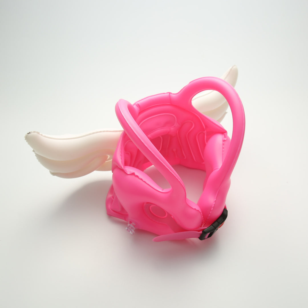 Aufblasbarer Dinosaurier-Themen Pool Float Karnz