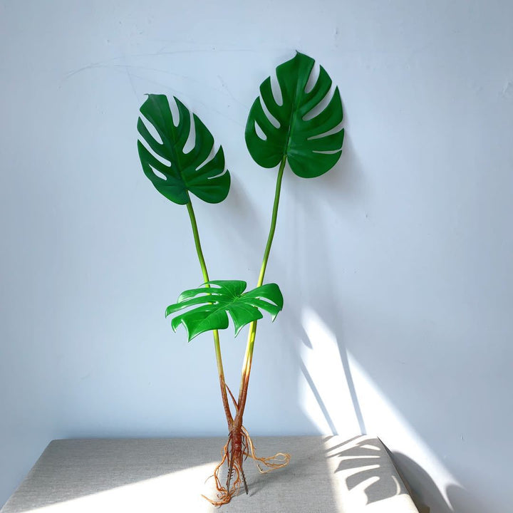 Monstera Blatt Dekorativer Stängel