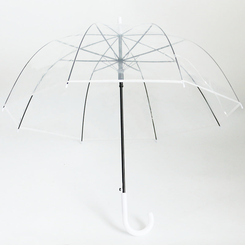 Damen transparenter Regenbogen Karnz