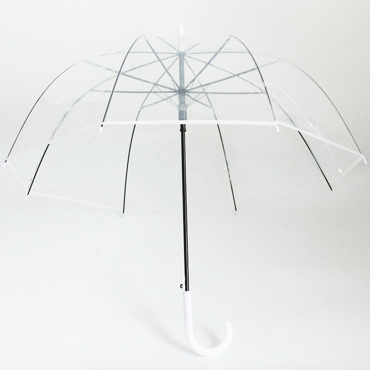 Damen transparenter Regenbogen Karnz
