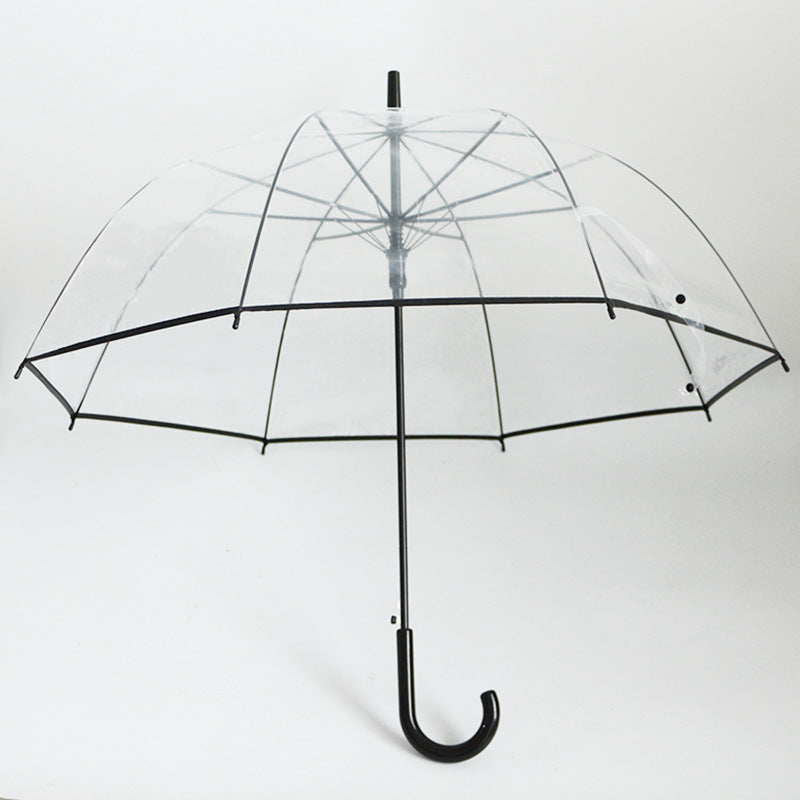 Damen transparenter Regenbogen Karnz