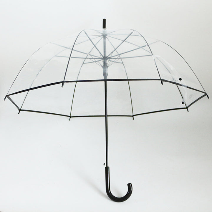 Damen transparenter Regenbogen Karnz