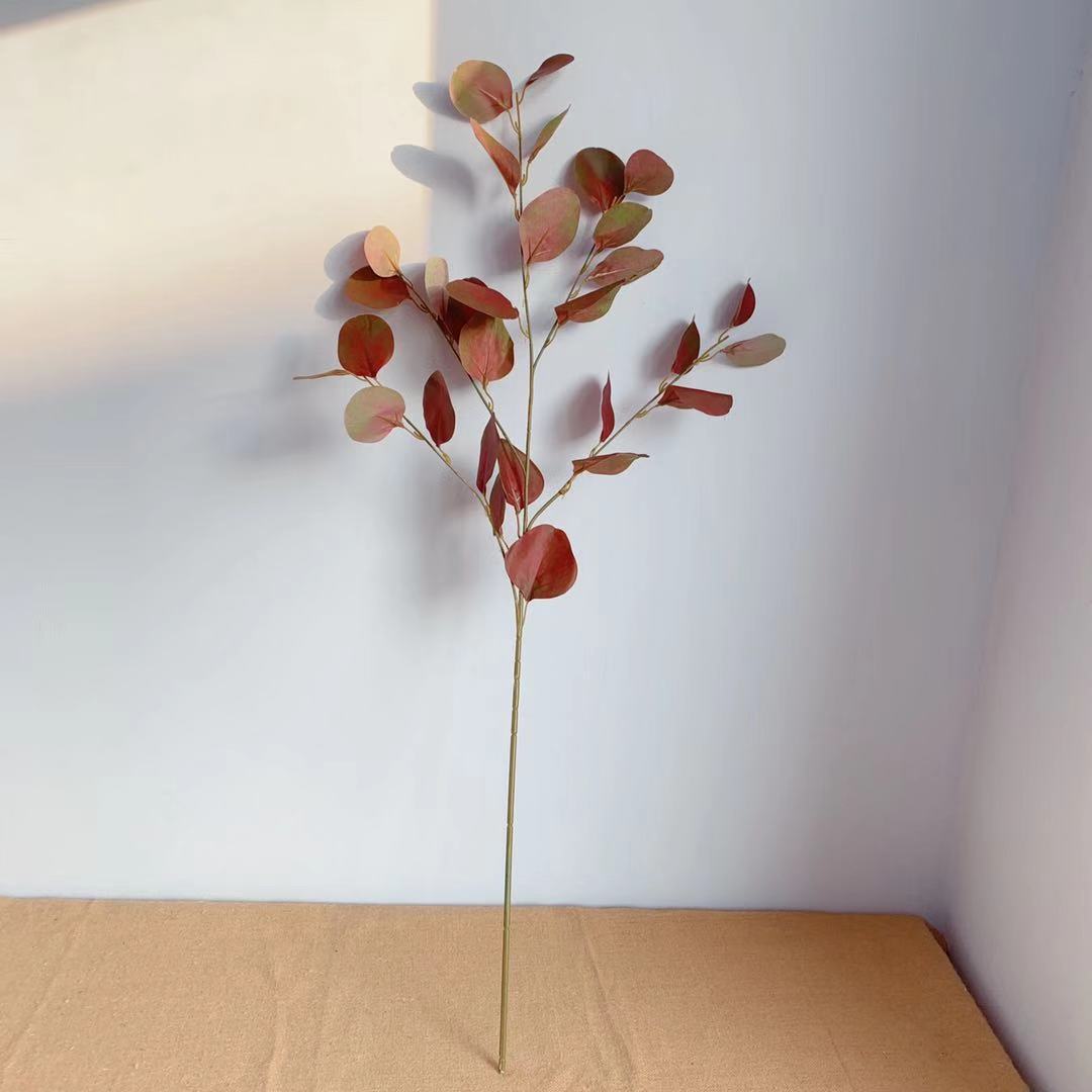 Dekorativer Eukalyptus-Stiel