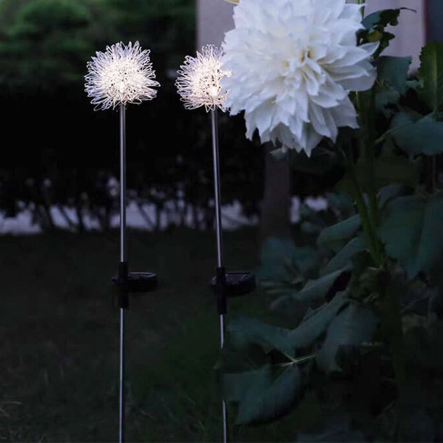 Solar Löwenzahn Aluminiumdraht Globe Licht LED Außen wasserdicht leuchtend Garten Einfügung Boden Landschaft Licht | Karnz
