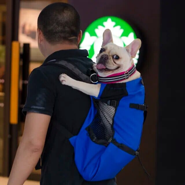 Karnz Hundereise-Rucksack