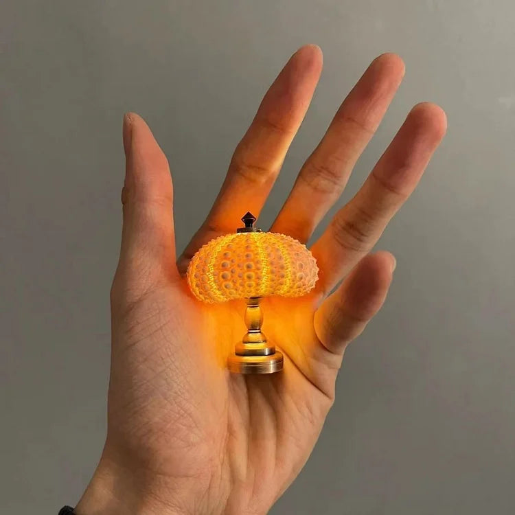 LumiCraft – Einzigartige DIY-Tischlampe mit natürlicher Muschel für ein gemütliches Ambiente