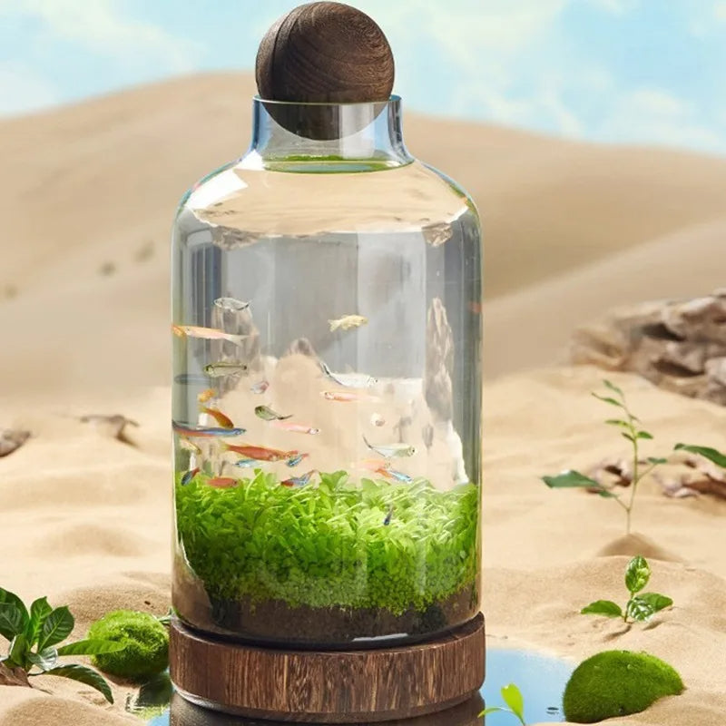 Micro Aquarium Kompakt Glas Ökologischer Fischtank