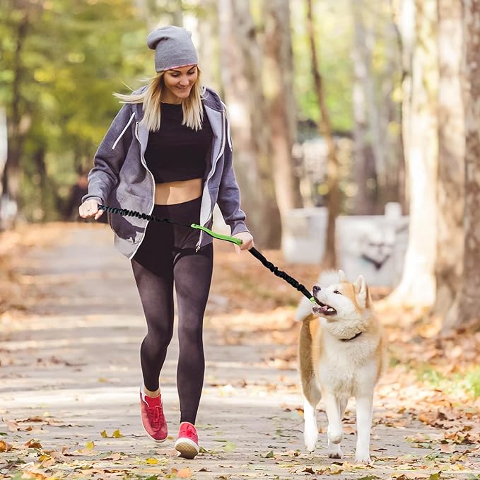 FlowLeash — Erleben Sie sanfte Kontrolle und entspannte Gassirunden ohne Rucke! | Karnz