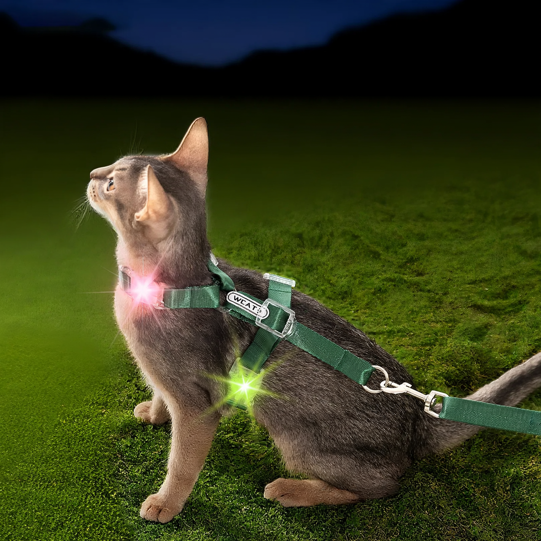 Katzen-Brustgeschirr, Polyester, mit Leuchtversion