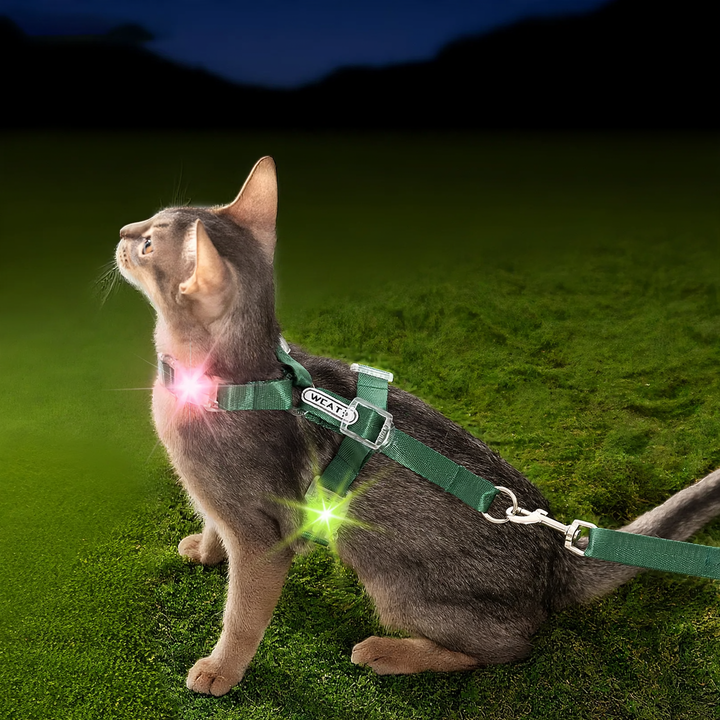 Katzen-Brustgeschirr, Polyester, mit Leuchtversion