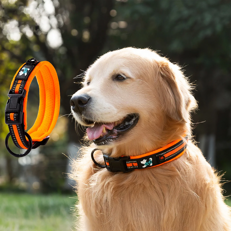 Nylon-Reflektionshalsband für Hunde und Katzen