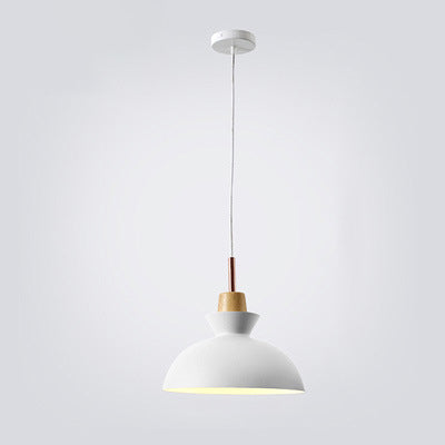Karnz | AuroraLite Nordic Pendelleuchte | Metall-Design | 1-Licht | Moderne Farboptionen