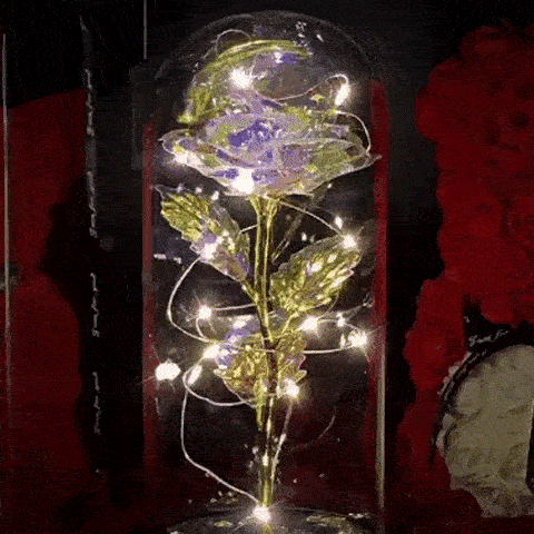 Rose in Glaskuppel Display | Karnz