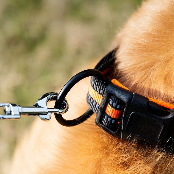 Nylon-Reflektionshalsband für Hunde und Katzen