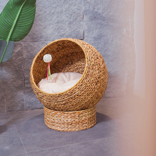Katzenbett Karnz