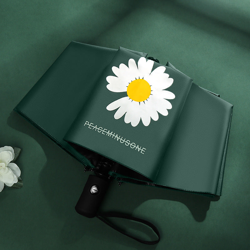 Damen kreativer Faltregenschirm mit umweltfreundlichem Design Karnz