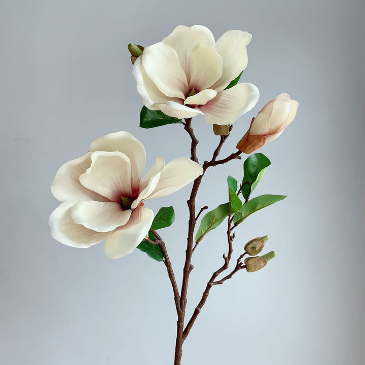 Realistische Magnolienblüte Stamm