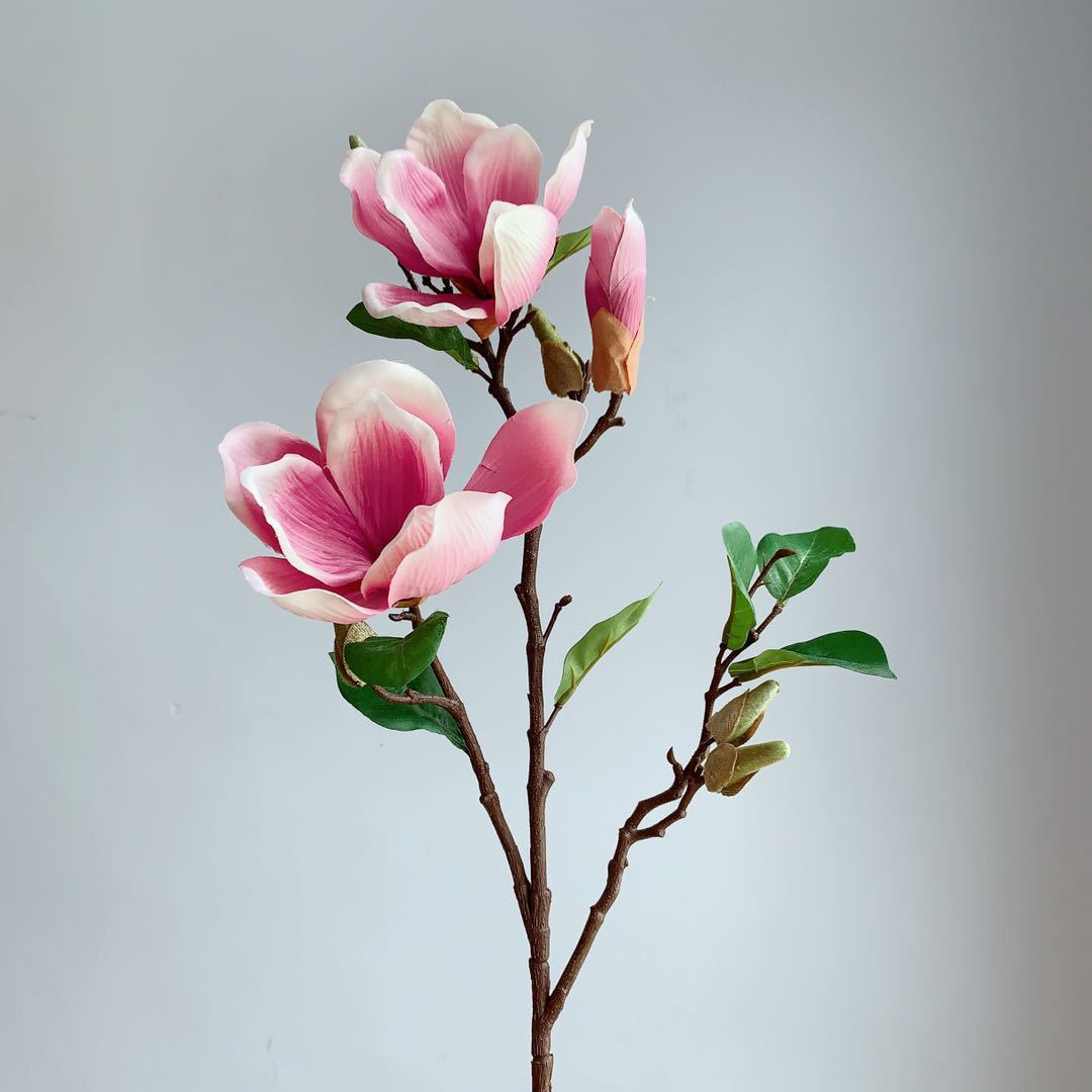 Realistische Magnolienblüte Stamm