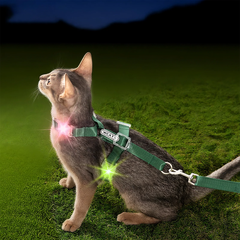 Leuchtende Katzen- und Hundegeschirr-Leine