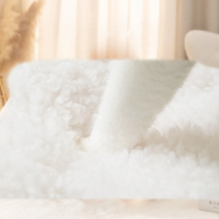 Katzen- und Hundebett Toast-Design, tragbar