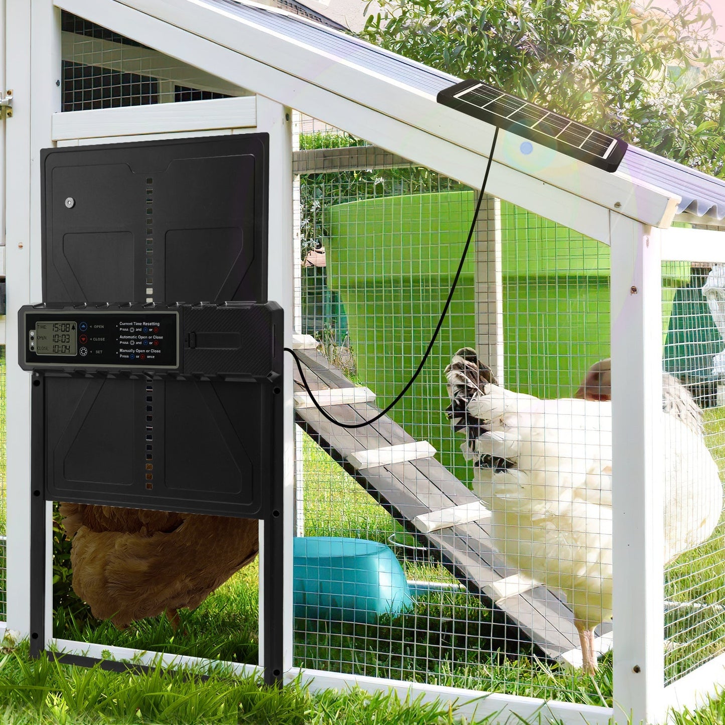 Elektrische Hühnerklappe Solar mit LED Display und Fernbedienung | Karnz
