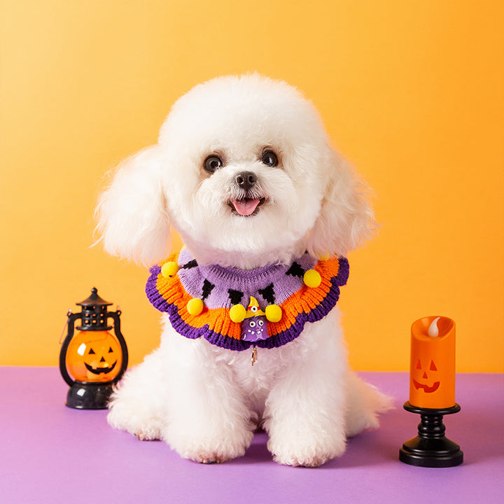 Halloween-Halsband mit Kürbismuster für Hunde