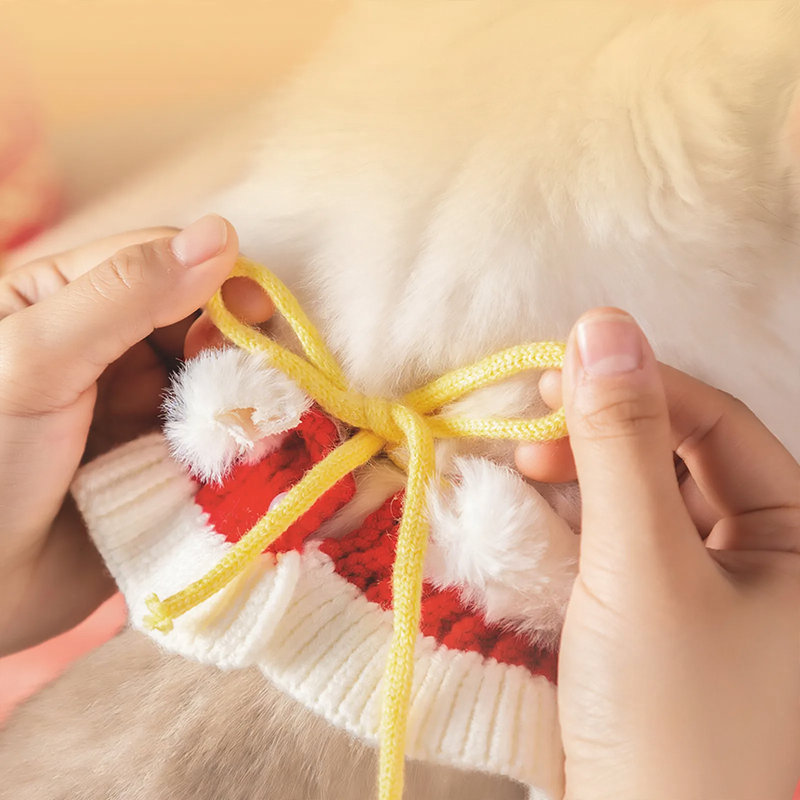 Wollhalsband für Haustiere, Strickdesign