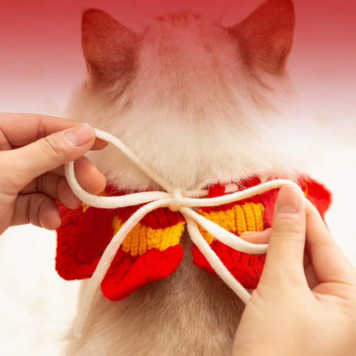 Gestricktes Neujahrs-Halsband für Hunde und Katzen
