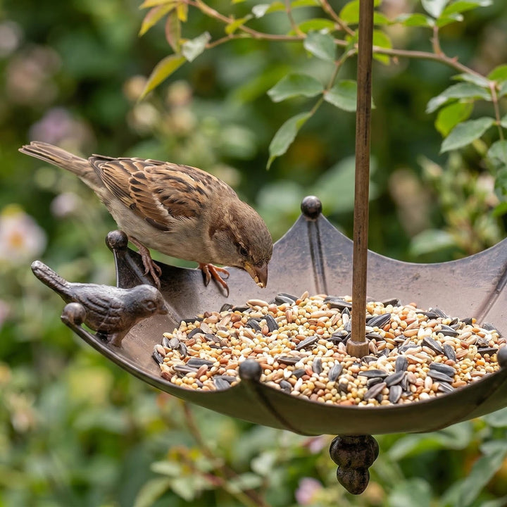 Dekorative Vogeltränke aus Eisen im Regenschirm-Design