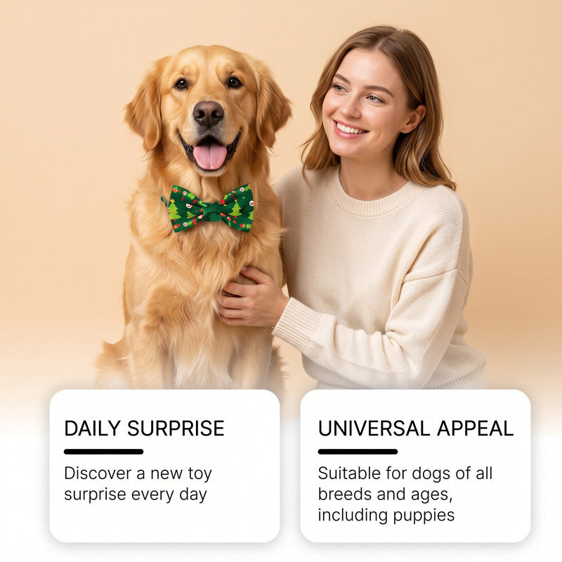 Adventskalender für Hunde