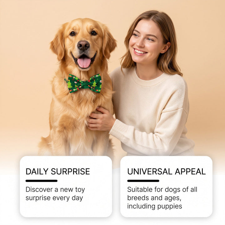 Adventskalender für Hunde