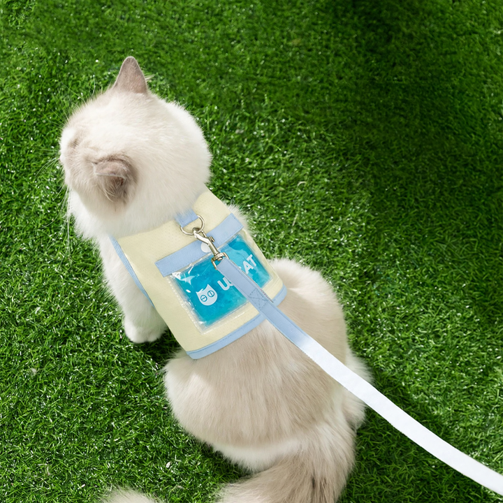 Katzen-Brustgeschirr mit Kühlakku, Polyester